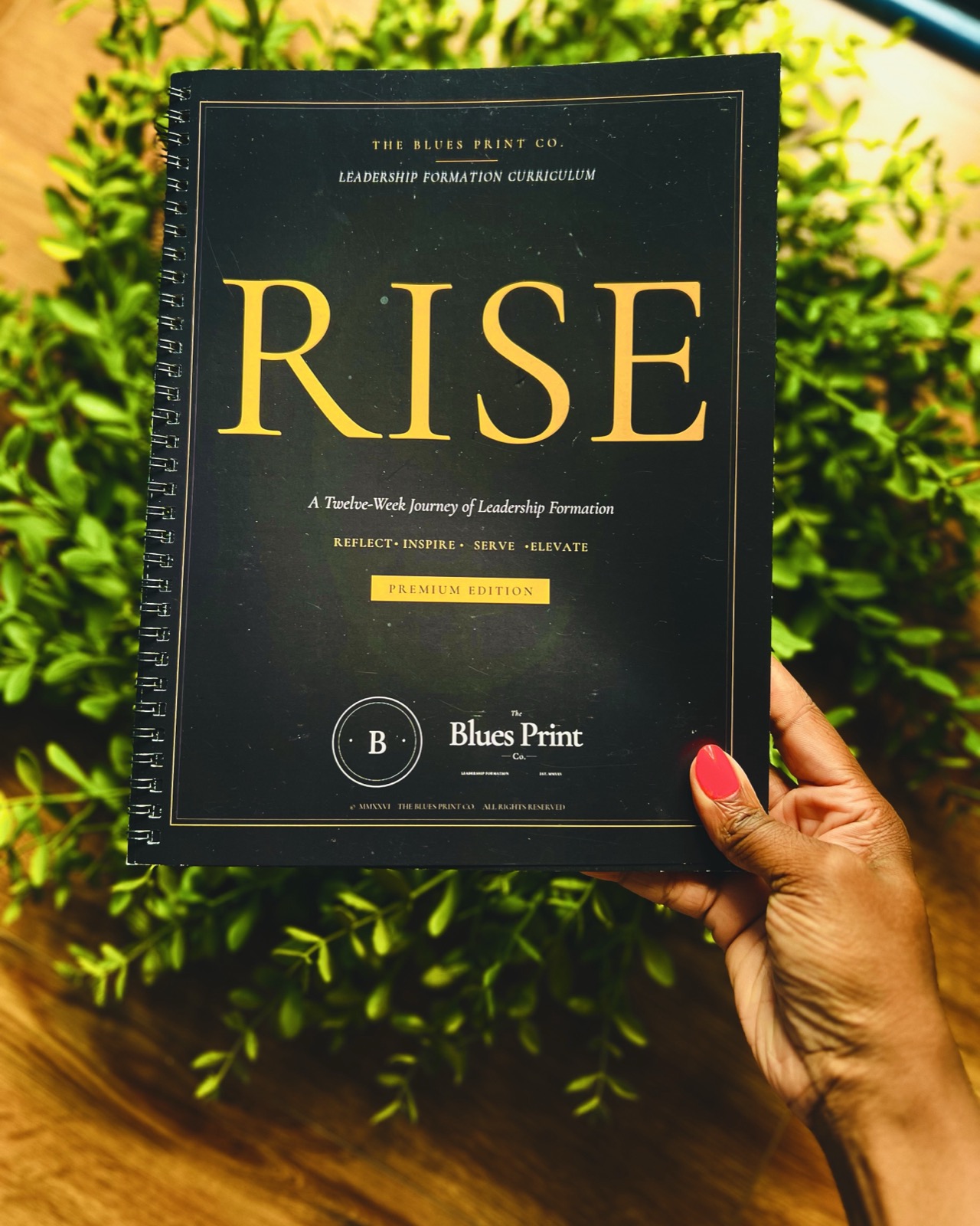 The Premium Facilitator Companion in black and gold