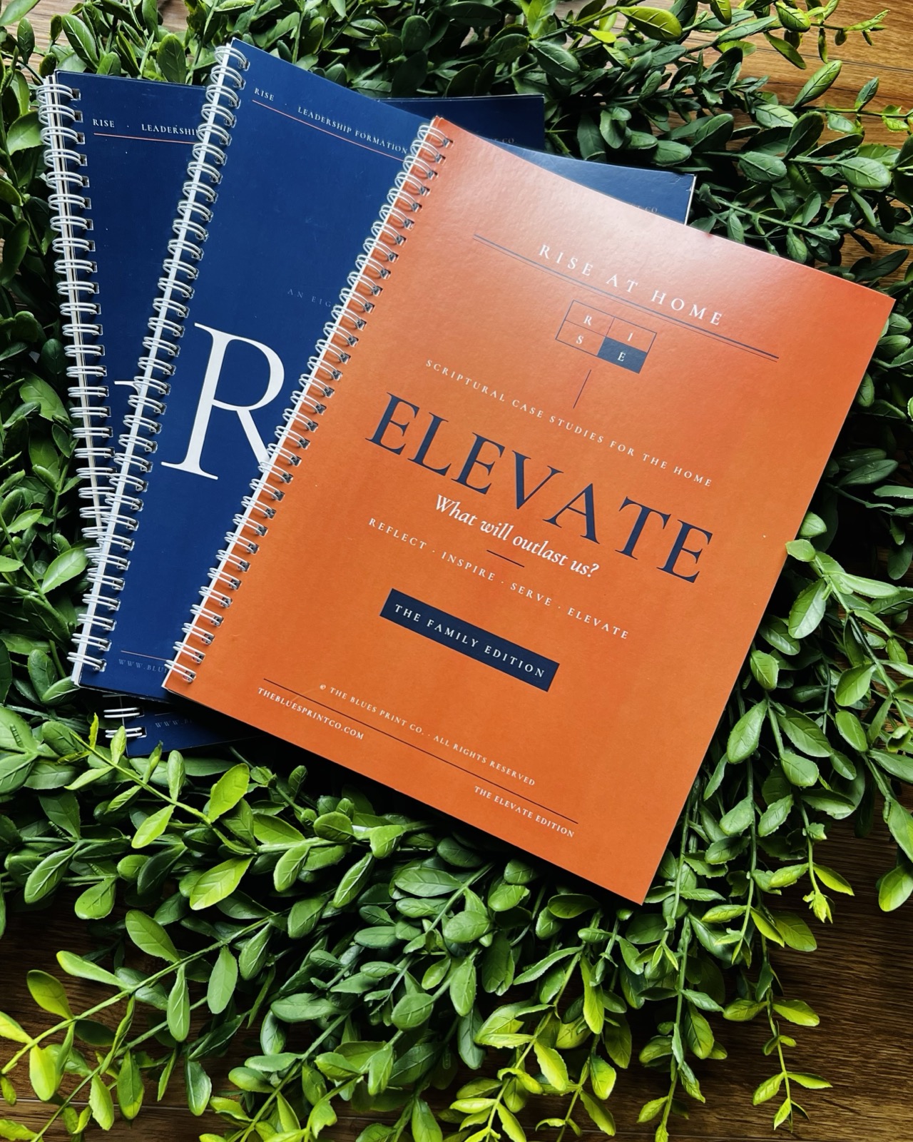 The Core Curriculum guides and the Family Edition together